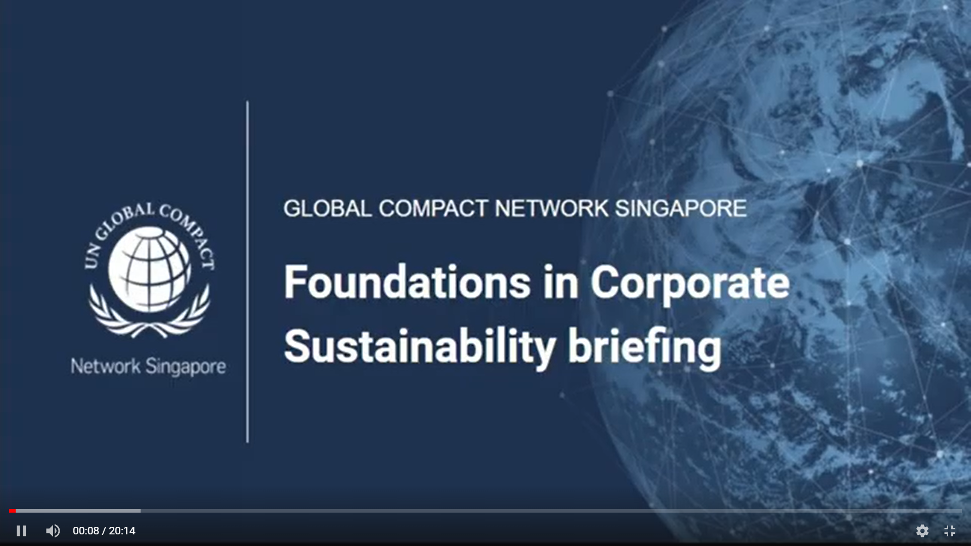 UNGCNS’ Foundations in Corporate Sustainability Briefing Session | 17 February 2022