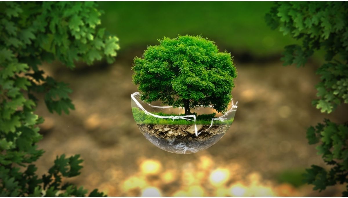 SGX RegCo-UNGCNS webinar: Roadmap to mandate Climate-related Disclosure