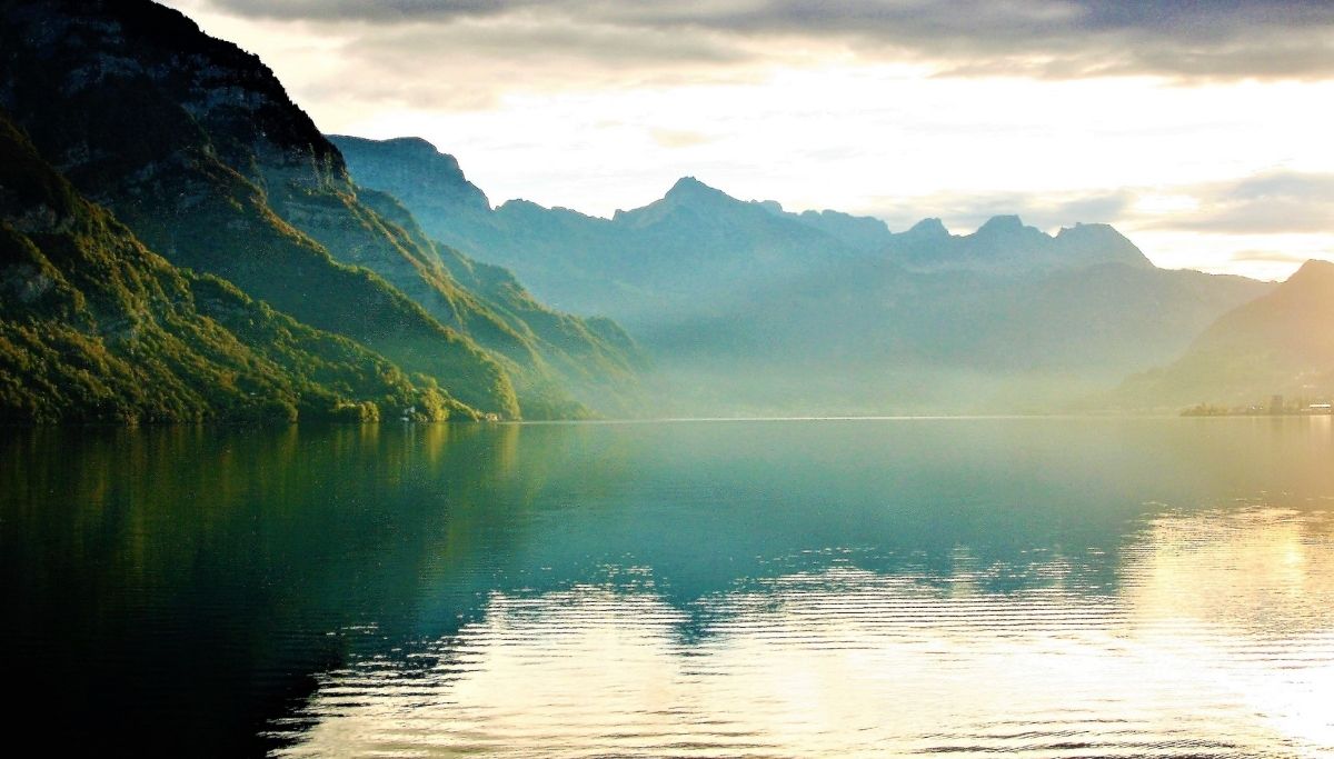 The SME Guide to Corporate Sustainability