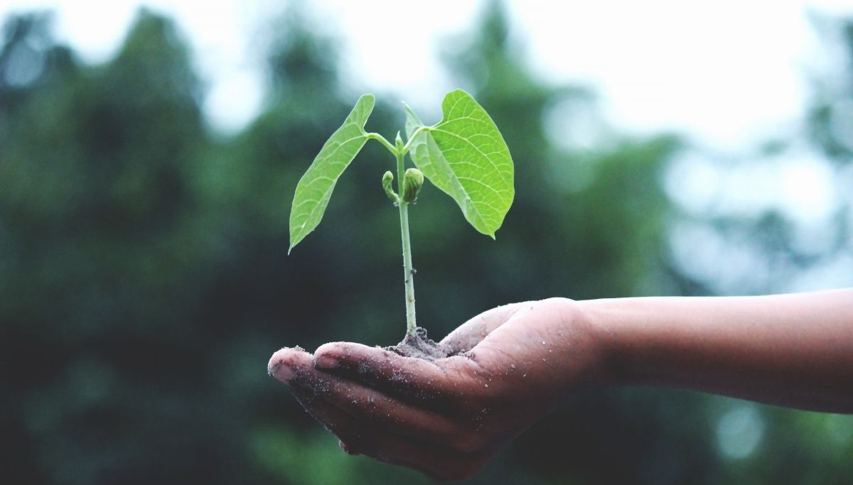 Beyond The Buzzword: The Journey to Corporate Sustainability