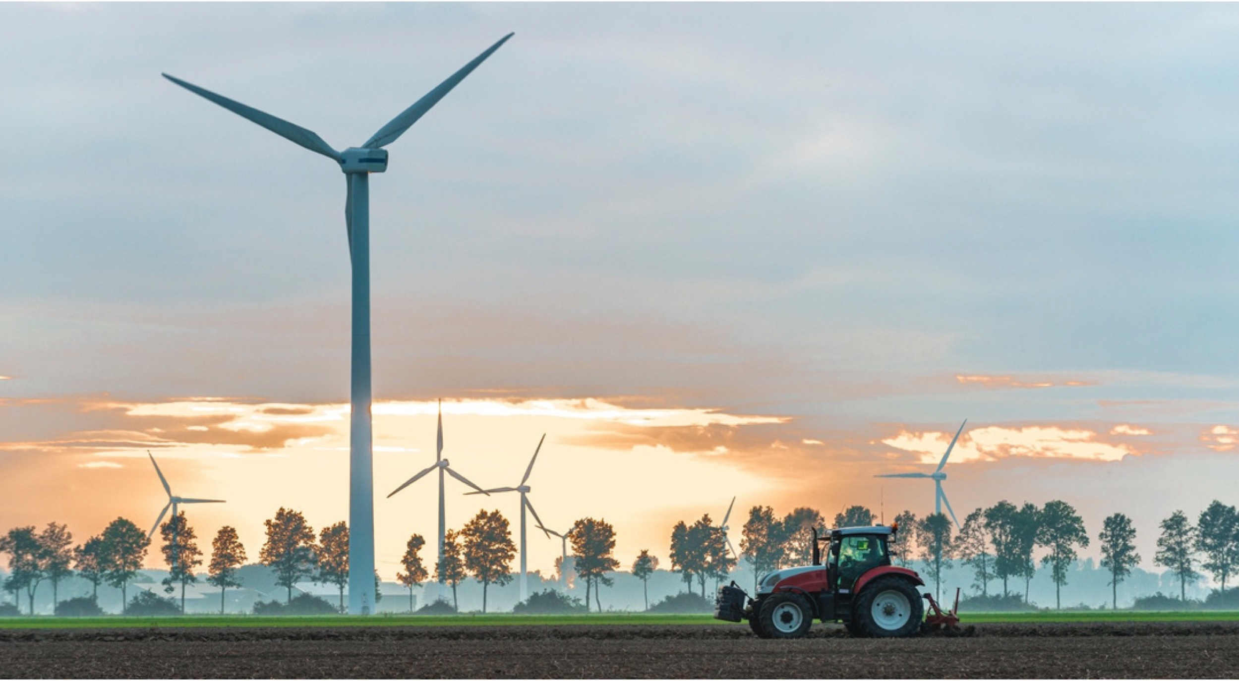 Southeast Asian carbon markets: Drivers, challenges, and opportunities for your organization