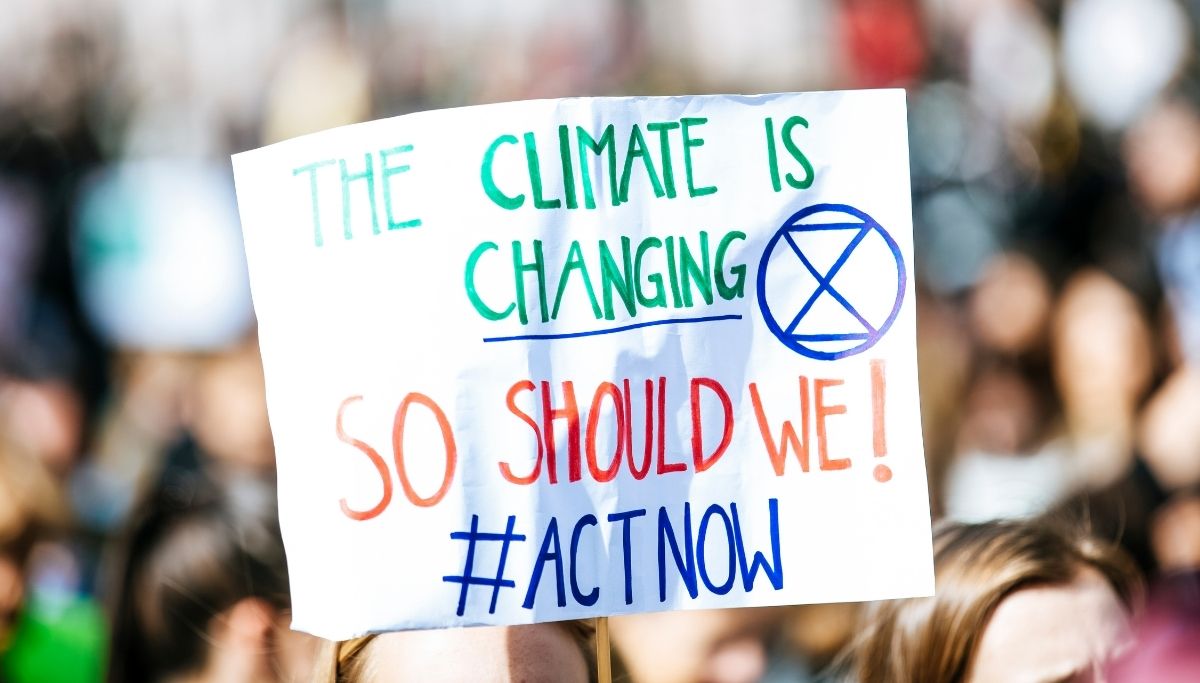 Turning Up The Heat on Climate Change: How Businesses can Thrive in a Warming World