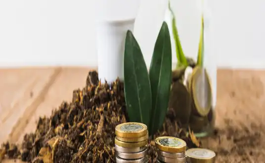 Foundations in Corporate Sustainability
