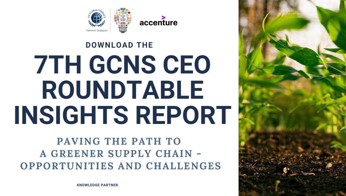 7th UNGCNS CEO Roundtable Post-Event Insights Report