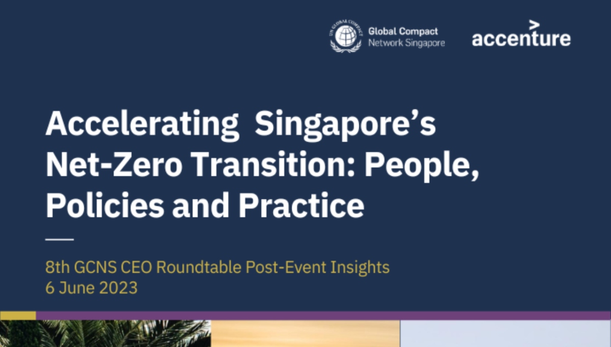 8th UNGCNS CEO Roundtable Post-Event Insights Report