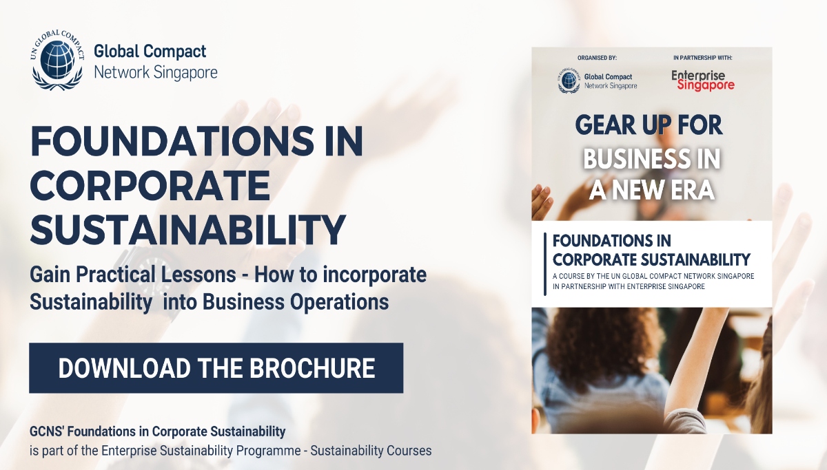 UNGCNS’ Foundations in Corporate Sustainability course brochure