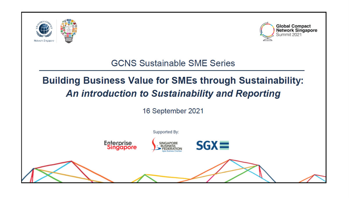 Sustainable SME Series #1: An introduction to Sustainability and Reporting