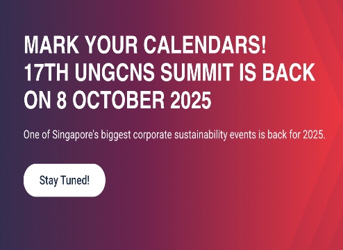17th UNGCNS Summit 2025