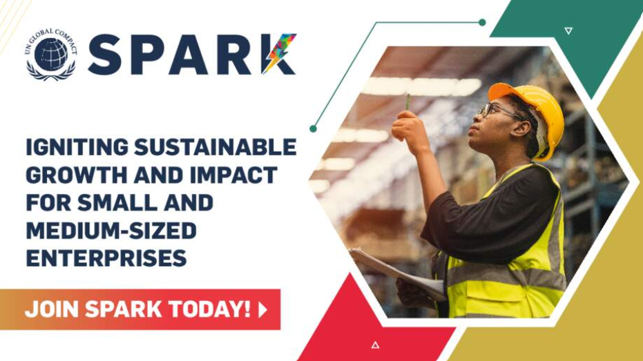 SPARK (Members-Exclusive Program) [Coming Soon!] – UN Global Compact